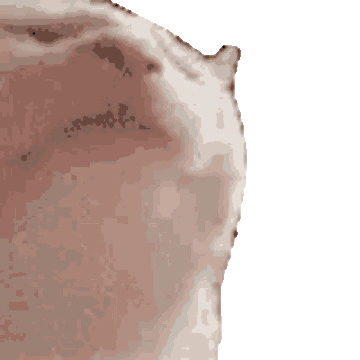 vibe cat